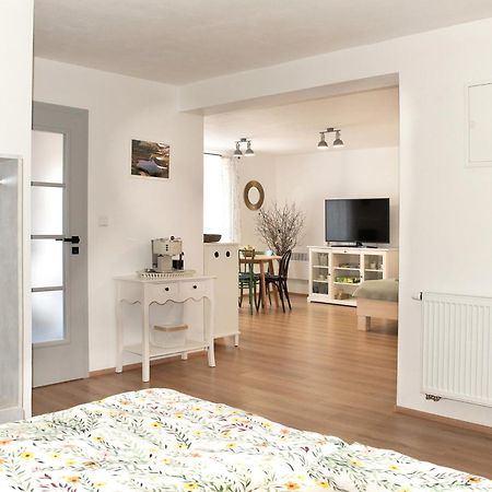 Apartman Mloci Udoli • Podyji 兹诺伊莫 外观 照片
